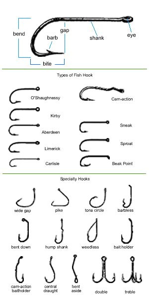 Different types of hooks Fishing 101, Bass Fishing Tips, Fishing Hooks, Fishing Rigs, Fishing Techniques, Fishing Quotes, Fishing Knots, Types Of Fish, Freshwater Fishing