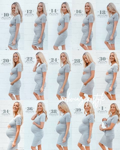 Pregnancy Progress Pictures, Pregnancy Transformation, Pregnancy Bump Photos, Weekly Pregnancy Photos, Baby Bump Progression, Vom Avea Un Copil, Bump Pics, Weekly Pregnancy, Baby Bump Pictures