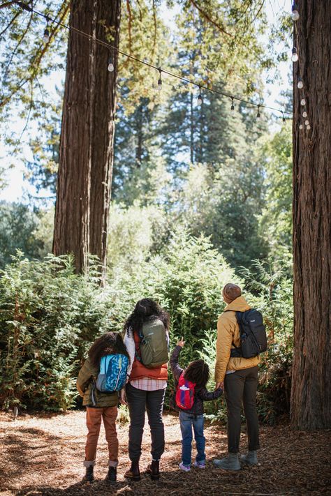 Hiking Pose, Family Camping Photography, High Key Lighting, Hiking Family, Weekend Creative, Commercial Product Photography, Hiking Pics, Hiking Photos, Family Hiking