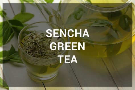 Sencha Green Tea Benefits, Green Tea For Hair, Sencha Tea, Tea History, Brew Tea, Green Tea Benefits, Tea Benefits, Lose Pounds, Brewing Tea