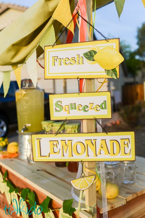 Lemonade Stand Party Ideas, Lemonade Vendor Booth, Lemonade Stand Aesthetic, Make A Lemonade Stand, Lemonade Menu, Limonade Bar, Lemon Stand, Lemonade Stand Sign, Diy Lemonade Stand