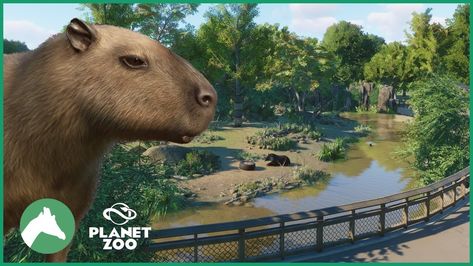 Planet Zoo Habitat, Zoo Zoo, Animals Planet, City Zoo, Hill City, Planet Fitness Workout, Habitat, Planets, Tap