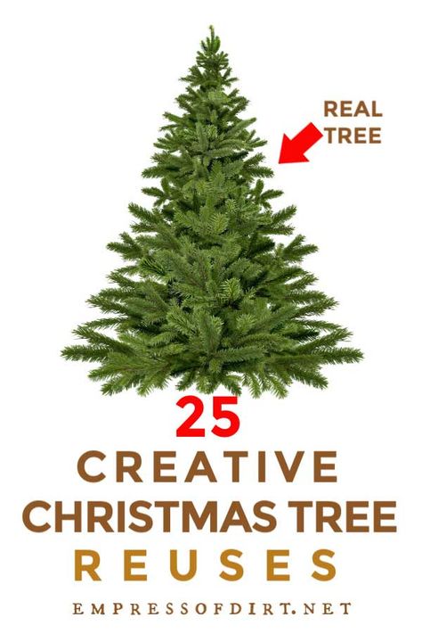 Crafts and decor items to make from your Christmas tree wood after the holidays. #repurpose #xmastrees #empressofdirt Diy Wire Basket, Fake Christmas Tree, Recycled Christmas Tree, Block Bench, Christmas Tree Wood, Natural Christmas Tree, Live Christmas Trees, Hairstyles For Older Women, Hair Silver