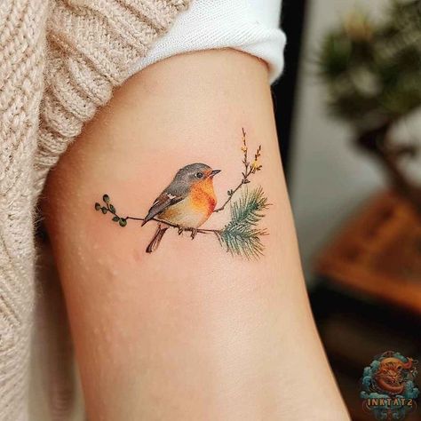 Tiny Robin Tattoo, Chickadee Tattoo, Robin Bird Tattoos, Natur Tattoo Arm, Robin Tattoo, Bluebird Tattoo, Bird Tattoos For Women, Bird Tattoos, Wildflower Tattoo