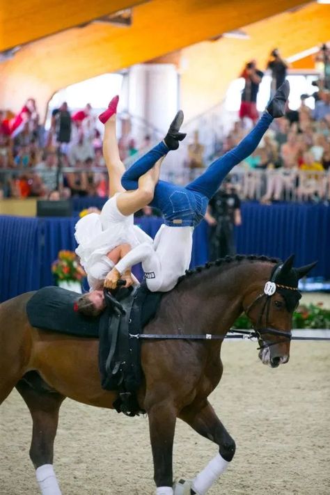 Equestrian Vaulting Moves, Equestrian Vaulting, Vaulting Equestrian, Horse Vaulting, Horse Tack Rooms, Trick Riding, Boxing Girl, Equestrian Life, European Championships