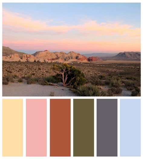 Red Rock Canyon - Mojave Desert and Vegas inspired Color Palettes | Dzzyn Desert Quilt, Picture Color Schemes, Desert Color Palette, Pallet Pictures, Spring Family Pictures, Colour Crush, Sunset Color Palette, Cactus Pictures, Sunrise Colors