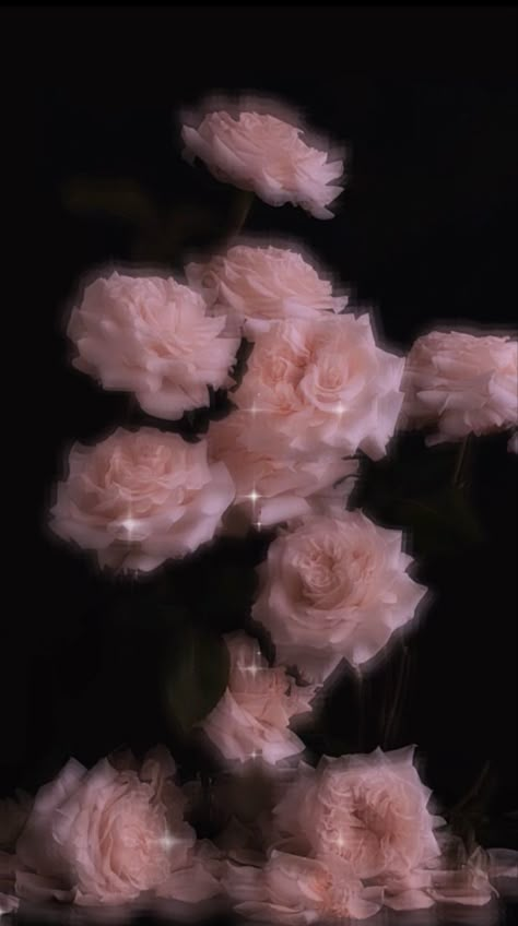 Attractive Wallpapers, Iphone Wallpaper Cat, Vintage Flowers Wallpaper, Simple Phone Wallpapers, Nothing But Flowers, Edgy Wallpaper, Iphone Wallpaper Tumblr Aesthetic, Dark Art Illustrations, Beautiful Bouquet Of Flowers