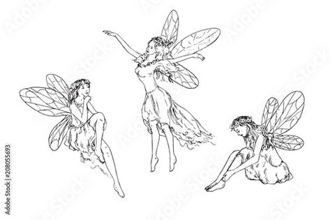 Fairy Sketch, Sketch Black And White, Fairy Drawing, Fairies Flying, Fairies Photos, Fairy Paintings, Fairy Tattoo Designs, Fairy Drawings, Black And White Vector