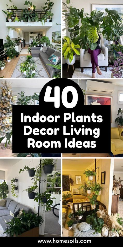 Enhance your living room decor with these 40 inspiring indoor plant ideas! From floating Pothos to Zen Zone Snake Plants, create a refreshing, green oasis in any space. Discover unique plant arrangements for every style and home. #IndoorPlants #HomeDecor #LivingRoomIdeas Indoor Plants Decor Living Room, Indoor Plant Ideas, Indoor Plants Decor, Plant Arrangements, Decor Living Room Ideas, Zen Zone, Snake Plants, Plants Decor, Decor Living Room