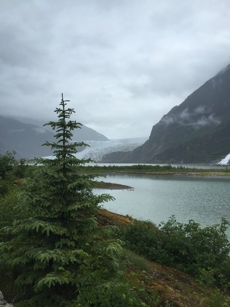 Juneau Alaska Photography, Juneau Alaska Aesthetic, Alaskan Landscape, Alaskan Summer, Alaskan Mountains, Pnw Fall, Alaskan Wildlife, Alaskan Wilderness, Moving To Alaska