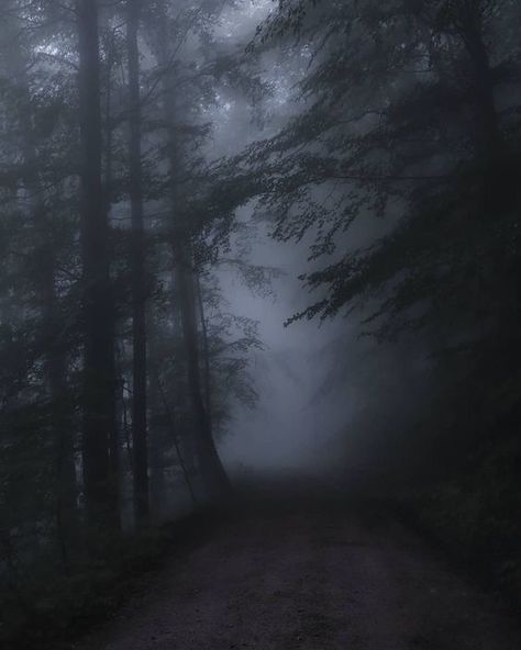 Dark Naturalism, Dark Forest Aesthetic, Dark Landscape, Dark Green Aesthetic, Foggy Forest, Dark Nature Aesthetic, Dark Paradise, Misty Forest, The Fog