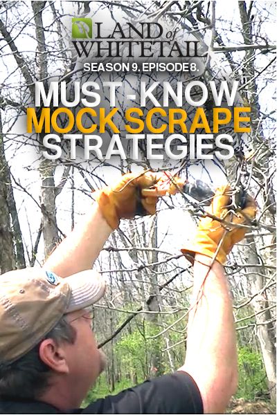 Mock scrapes don’t solve all the problems when it comes to deer hunting, but they can make a difference. Land of Whitetail. Season 9. Episode 8. Whitetail Hunting, Whitetail Deer Hunting, Hunting Stuff, Deer Hunting Tips, Deer Hunting Gear, Hunting Deer, Hunting Tips, Archery Hunting, Whitetail Deer