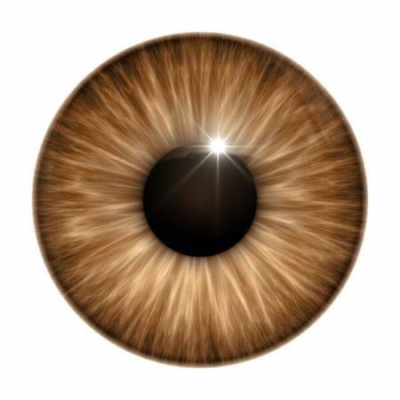 Eye Iris, Iris Eye, Eye Texture, Eyeball Art, Eye Illustration, Blurred Background Photography, Brown Eye, Black Background Images, New Background Images