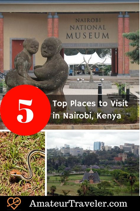 5 Places to Visit in Nairobi, Kenya - Things to do in Nairobi #africa #kenya #nairobi #thingstodoin Africa Kenya, Kenya Nairobi, Nairobi Kenya, Travel Plan, Amazing Travel Destinations, Amazing Travel, Travel Images, Top Five, Dream Vacation