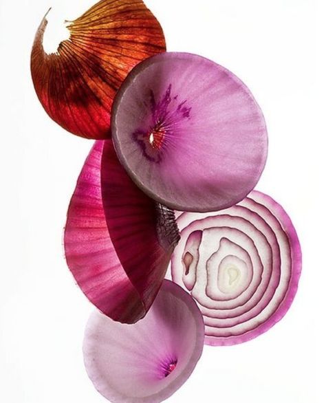 The most important fact about onions is that 75% of their nutrients are found in the top two layers, so USE them and don’t peel them off. Red onions are oh-so-slightly more nutrient-rich than white onions. Red onions are better used in dishes such as salads, while white onions are sweeter and milder. #8greens #greenbeauty #inseason #superfood Onion Photography Art, Onion Photography, Onion Photo, Onion Illustration, Onion Art, Food Photography Inspiration, Foto Art, Natural Forms, Patterns In Nature