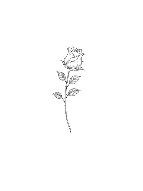 Rose Fine Line Drawing, Rose Fine Line Tattoo Design, Rose With Stem Tattoo, Aesthetic Tats, Rose Stem Tattoo, Stem Tattoo, Simple Rose Tattoo, Roses Background, Realistic Rose Tattoo