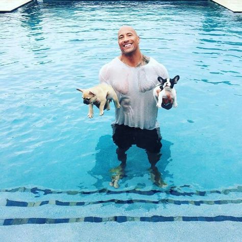 Brutus, THE ROCK & Hobbs Johnson. Papa Rock saving lives. Baby French Bulldog, Francia Bulldog, Rock Johnson, The Rock Dwayne Johnson, Wet T Shirt, Dwayne The Rock, French Bulldog Puppies, Dwayne Johnson, Bulldog Puppies