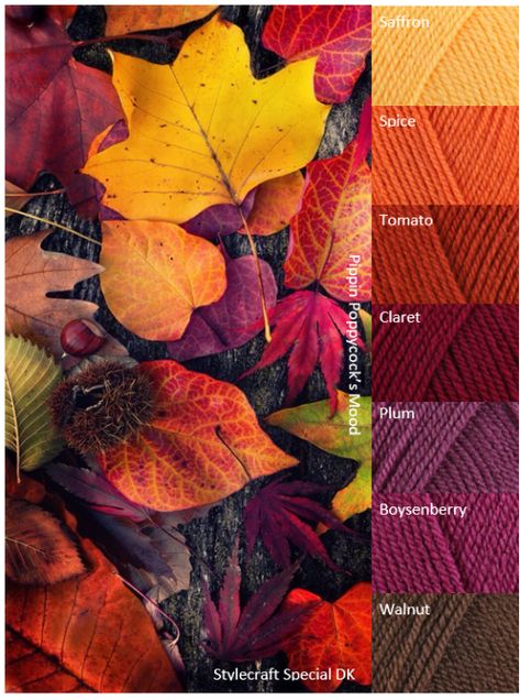 Hello Fall Colours That Go Together, Yarn Color Combinations, Colors Of Autumn, Color Schemes Colour Palettes, Fall Color Palette, Color Palate, Design Seeds, Color Palette Design, Fall Color