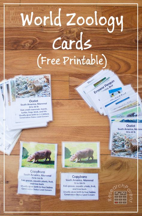 World Zoology Cards to help kids learn cool animal facts and a little geography simultaneously - ResearchParent.com Fun Facts About Animals, Animal Study, Animal Science, World Geography, Homeschool Printables, Animal Activities, Free Homeschool, Endangered Animals, Homeschool Science