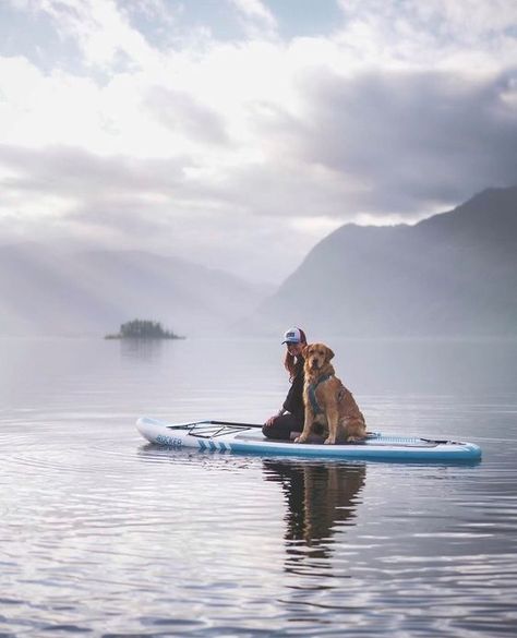 Paddle Board With Dog, Paddleboarding Pictures, Paddle Surf, Stand Up Paddle Boarding, Sup Stand Up Paddle, Pack Up And Go, Inflatable Sup, Paddle Surfing, Sup Yoga