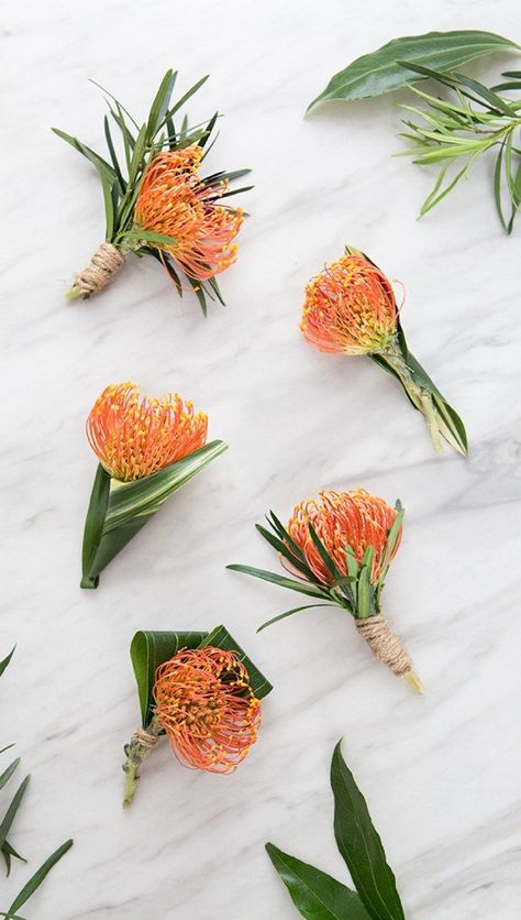 Check out these awesome pin cushion protea boutonnieres! Pin Cushion Protea, Protea Bouquet, Tropical Wedding Decor, Exotic Wedding, Wholesale Flowers Wedding, Tropical Wedding Flowers, Protea Flower, Unique Wedding Flowers, Wedding Cakes With Flowers