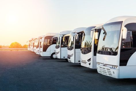 Photo tourist buses on parking at sunris... | Premium Photo #Freepik #photo #tour-bus #bus-trip #buses #bus Charter Bus, Chartered Bus, Luxury Bus, Bus Driver, Transportation Services, Travel And Tourism, Orlando Fl, Summer Travel, Car Rental