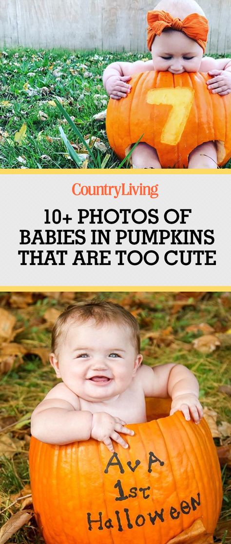 Take a look at the cutest photos of babies in pumpkins—we dare you not to say "awww" at least once. Babies In Pumpkins, Baby Pumpkin Pictures, Halloween Baby Pictures, Halloween Baby Photos, Photos Of Babies, Pumpkin Photography, Fall Baby Pictures, Diy Newborn Photography