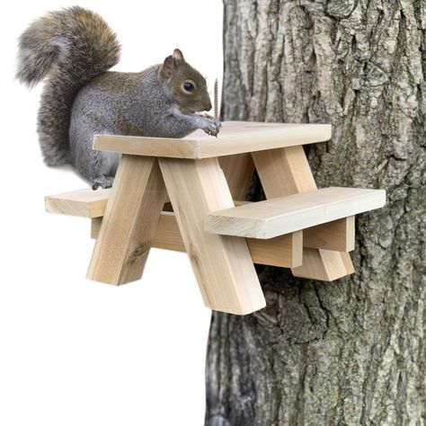 Introducing the Squirrel Picnic Bench. The most adorable squirrel, chipmunk and bird suet feeder you will ever own. Handcrafted using aromatic Canadian cedar, it will last for years outside.  At 10.5 wide, 9 long and 6.5 tall, its larger than many competing units, and allows for larger bench seats Squirrel Tables, Squirrel Bench, Squirrel Feeder Diy, Squirrel Picnic Table, Carpenter Bee Trap, Bird Suet, Bird Feeder Plans, Squirrel Feeders, Squirrel Feeder