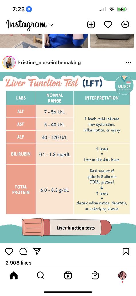 Liver Function Test Normal Values, Liver Function Test Interpretation, Medications Nursing, Quadrants Of The Abdomen, Kidney Function Test, Liver Function Test, Nurse Notes, Clinical Chemistry, Medical Notes