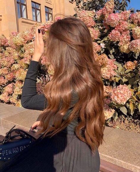 An honest review of hair extensions + hair extensions style and how to use clip in hair extensions #hairextensions #hairextensionsstyle Long Brown Hair, Hair And Beauty, About Hair, Brown Hair, We Heart It, A Woman, Lost, Flowers, Hair