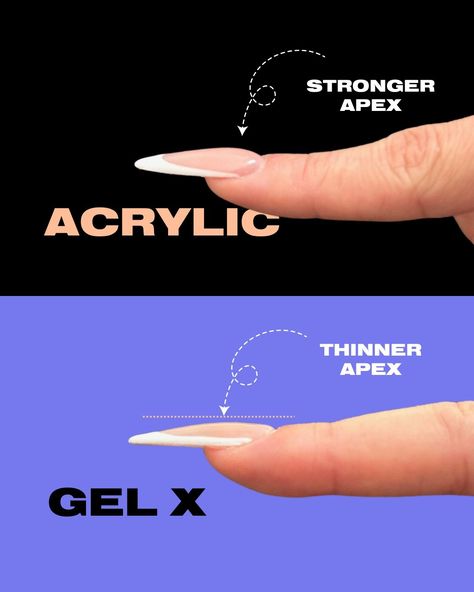 Now other than the obvious compound of acrylics and soft gel extensions, what can we VISUALLY see different between the two? When a nail enhancement is long, there needs to be a bigger apex to support the length over the free edge. For the acrylic model, we were able to build a higher apex to support the length! For the Soft Gel Extensions, we used natural Gel-X tips. The Aprés Sculpted series has a higher apex and a deeper C curve, meant for either clients with a curved nail bed or a Natu... Nail Apex Side View, Apex Nails, Gel Extensions, Nail Bed, Soft Gel, Nails Inspo, Side View, Almond Nails, Nail Inspo