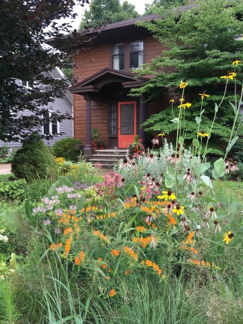 Wildflower Garden Front Of House, Front Yard Prairie Garden, Ohio Native Flower Garden, Wild Front Garden, Midwest Native Landscaping, Native Front Yard, Native Garden Ideas, Native Plant Garden Design, Native Wildflower Garden