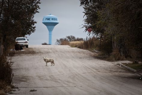 Pine Ridge Indian Reservation Russell Means, Conservation Photography, Pine Ridge Reservation, Seattle Photography, Indian Reservation, Water Towers, Indian Village, Promised Land, Beautiful Dream