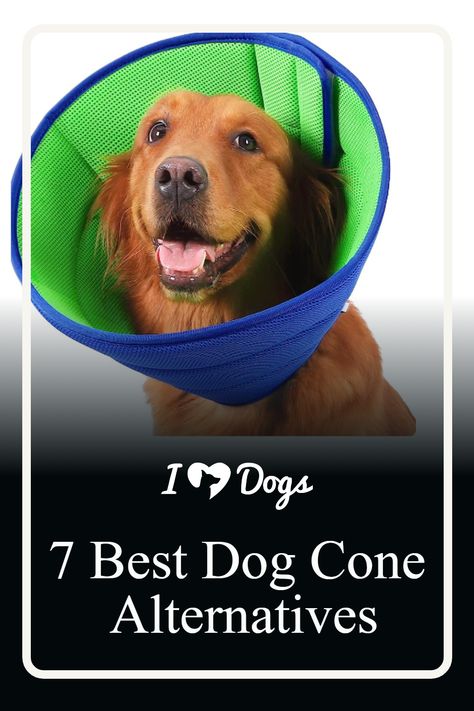 7 Best Dog Cone Alternatives What To Use Instead Of A Cone For A Dog, Diy Dog Lick Sleeve Back Leg, Cone Alternative For Dogs Diy, Diy Dog Cone Alternatives, Diy Dog Cone, Homemade Dog Cone, Dog Cone Alternative, Dog Cone Collar, Cones Diy