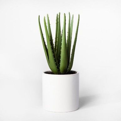 Kaktus Dan Sukulen, Happy Glamper, Artificial Cactus, Plant In Pot, Palm Green, Aloe Plant, Bathroom Plants, Bedroom Plants, Project 62