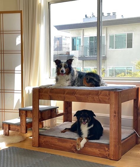 AmazonSmile : Waterproof Dog Beds for Large Dogs with Washable Cover, Soft Pet Bed Mat Pillows for Medium, Extra Large Dogs (40x 30x 3.5 Inch, Classic Style) : Pet Supplies Dog Bed Platform, Dog Bunk Beds, Chien Yorkshire Terrier, Raised Dog Bed, Wood Dog Bed, Raised Dog Beds, Wooden Dog Bed, Dog Bedroom, Custom Dog Beds