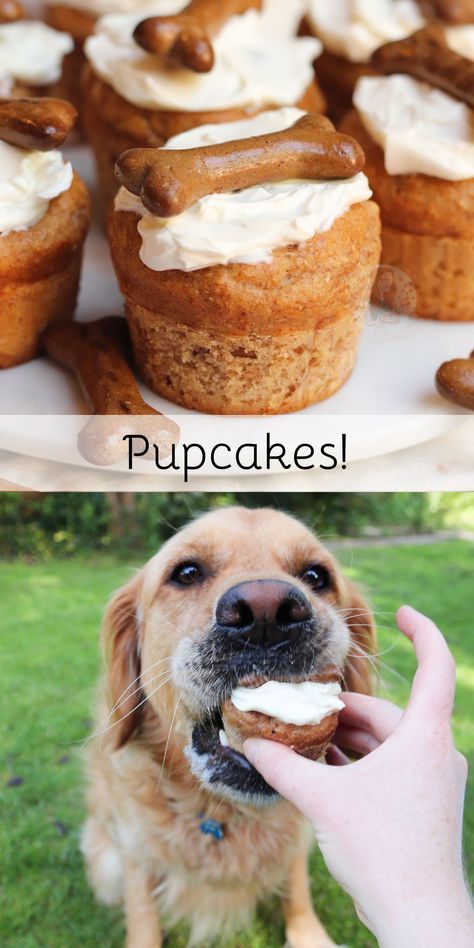 Dog Friendly Baked Goods, Dog Safe Cupcakes Recipes, Dog Treats That Look Like Human Food, Fancy Dog Treats, Dog Cake Recipe, Dog Meals, Diy Dog Gifts, Dog Birthday Cake Recipe, Banana And Peanut Butter