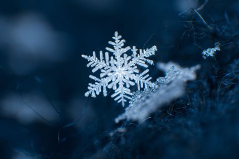 These intricate, one-of-a-kind ice crystals form when precipitation falls through varying levels of humidity and temperatures in the air. In The Dark, Dark Blue, I Hope, Blue