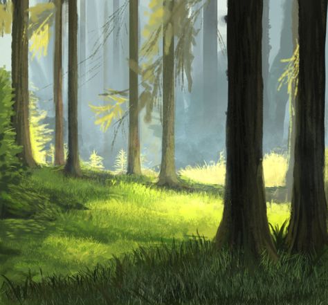 Enchanted Forest Mural, Landscape Reference, Anime Flower, Forest Drawing, Forest Mural, Anime Places, Forest Background, Forest Illustration, Landscape Concept