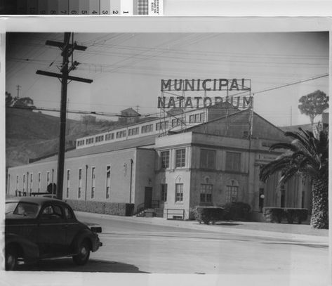 Calisphere: [Photograph of the Municipal Natatorium B] Richmond California, Bay Area Photography, Contra Costa County, California History, Old Bay, San Pablo, Black White Photos, Creative Writing, Bay Area