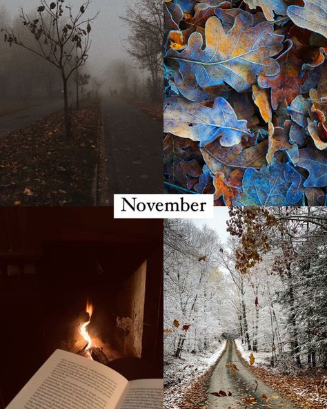 I can’t express how excited i am for these upcoming months! 🤎 Happy first day of September friends! Soon the leaves are turning gold and the mornings bring that crisp in the air! What are your plans for this day? 🤍 #firstdayoffall #fall #september #october #november #december #bermonths #fallaesthetic First Day Of November, November First, First Day Of September, September October November December, October November December, Ber Months, Hello November, September 1st, September 1