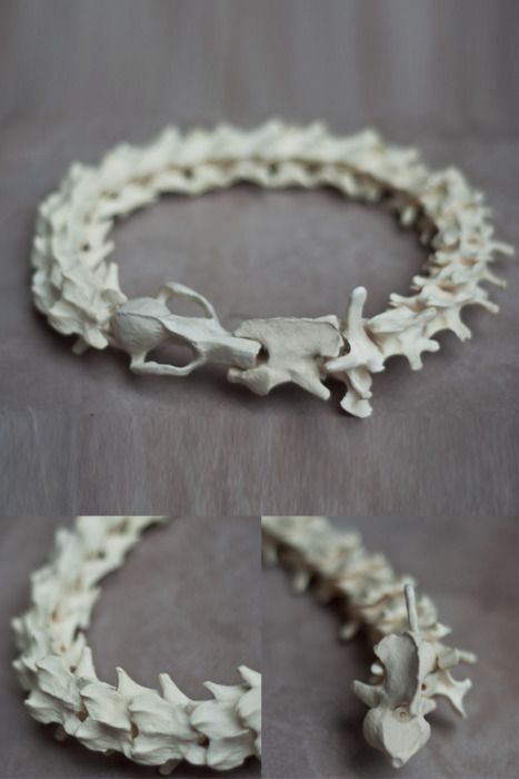 Animal Skeletons, Bones Bracelet, Vulture Culture, Bone Crafts, Bone Art, Bone Jewelry, Family Jewels, Skull And Bones, Precious Gems