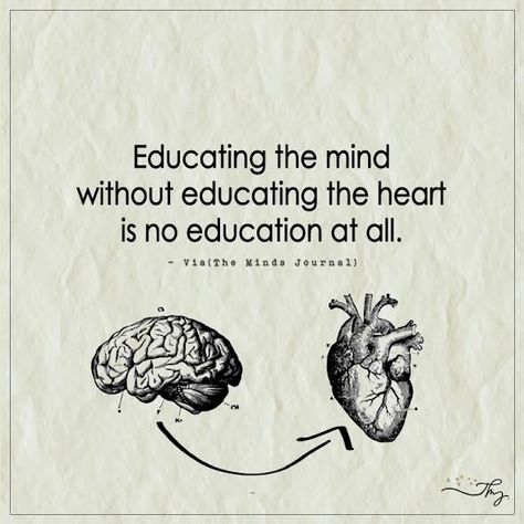 Educating the mind without educating the heart is no education at all. - http://themindsjournal.com/educating-the-mind-without-educating-the-heart-is-no-education-at-all/ Educating The Mind Without Heart, Mind Journal Quotes, Heart And Brain Quotes, Quotes About Mind, The Mind Quotes, Mind And Heart Quotes, Quotes Personality, Brain Quotes, Good Heart Quotes