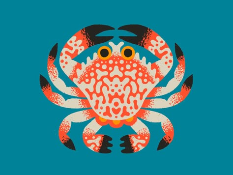 Brett Stenson, Rock Crab, Crab Drawing, Crab Illustration, 심플한 그림, Crab Art, Paint Illustration, Illustration Art Design, Animal Illustrations