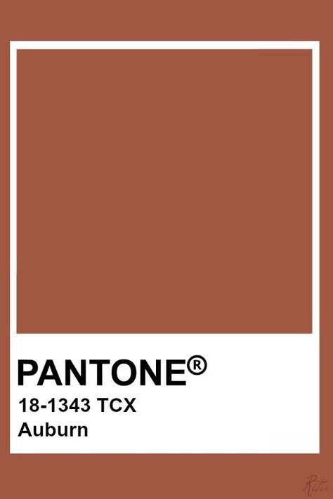 Pantone Burnt Orange, Autumn Pantone, Wedding Puglia, Palette Autumn, Pantone Orange, Pantone Tcx, Pantone Red, Pantone Colours, Pantone Color Chart