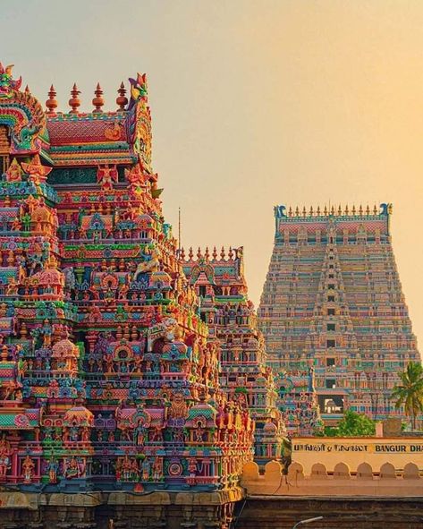 Srirangam Temple, Temple India, Indian Temple Architecture, Ancient Indian Architecture, Temple Photography, Temple Architecture, Indian Temple, Indian Architecture, Hindu Temple