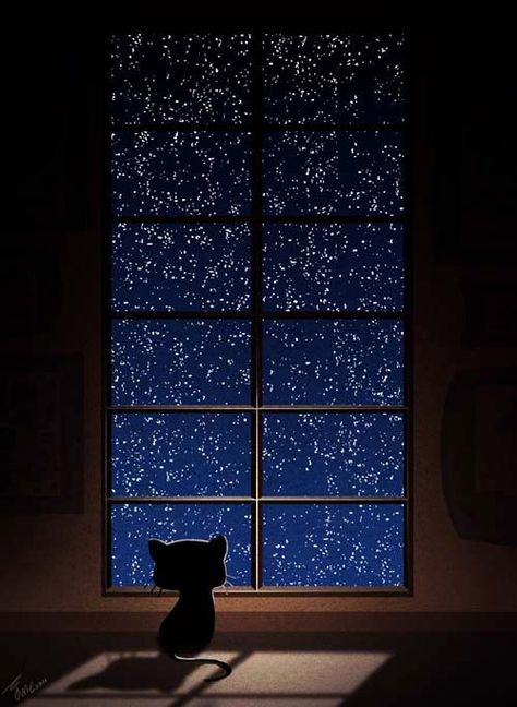 ~<3~ Good night Where ever you are ~<3~ Sky And Stars, A Black Cat, Tableau Art, Cats Illustration, The Night Sky, Pusheen, Crazy Cats, The Words, Night Sky