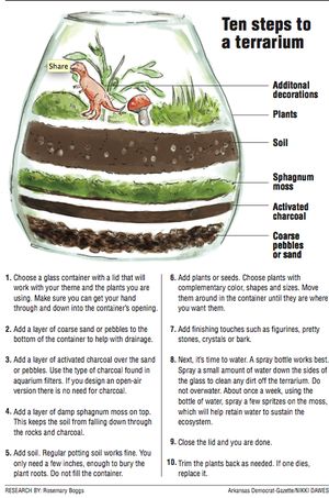 Contained delights: Create an indoor haven of green with easily constructed terrarium Terrarium Layers, Closed Terrarium Plants, Build A Terrarium, Diy Succulent Terrarium, Inside Garden, Beautiful Terrariums, نباتات منزلية, Mini Terrarium, Succulent Garden Diy