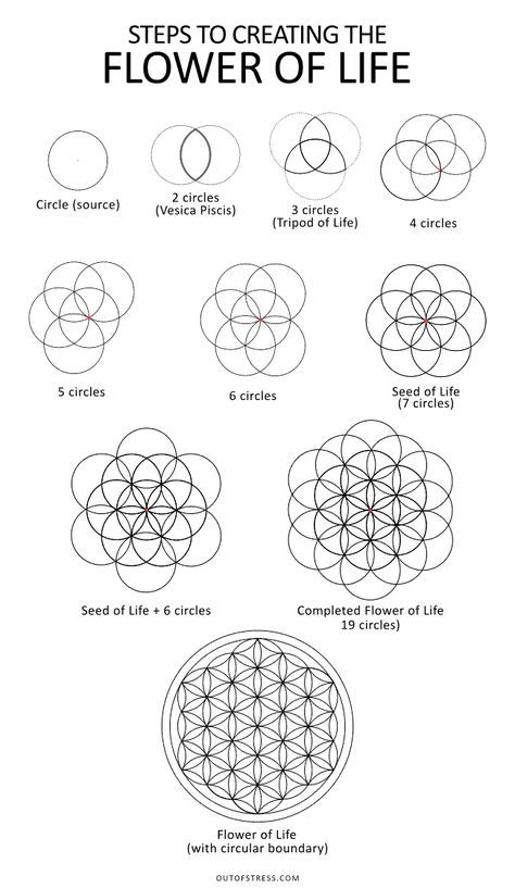 Flower of Life – Symbolism + 6 Hidden Meanings (Sacred Geometry) Sacred Geometry Witchcraft, Sacred Geometry Drawing Step By Step, How To Draw The Flower Of Life, Flower Of Life Embroidery, Sacred Geometry Garden, Cymatics Sacred Geometry, Seed Of Life Art, Draw Sacred Geometry, Alchemy Symbols Sacred Geometry