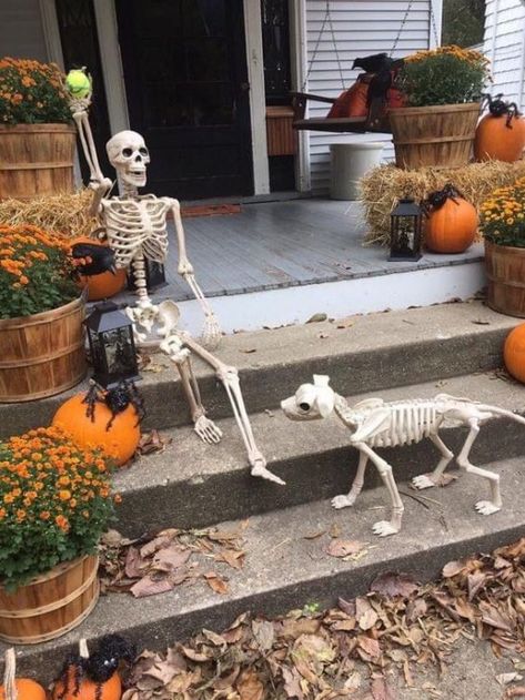 Skeleton Halloween Decorations Yards, Porch Skeleton, Posable Skeleton Ideas, Yard Skeletons, Front Porch Cozy, Skeleton Display, Skeleton Poses, Skeleton Ideas, Ideas For Front Yard